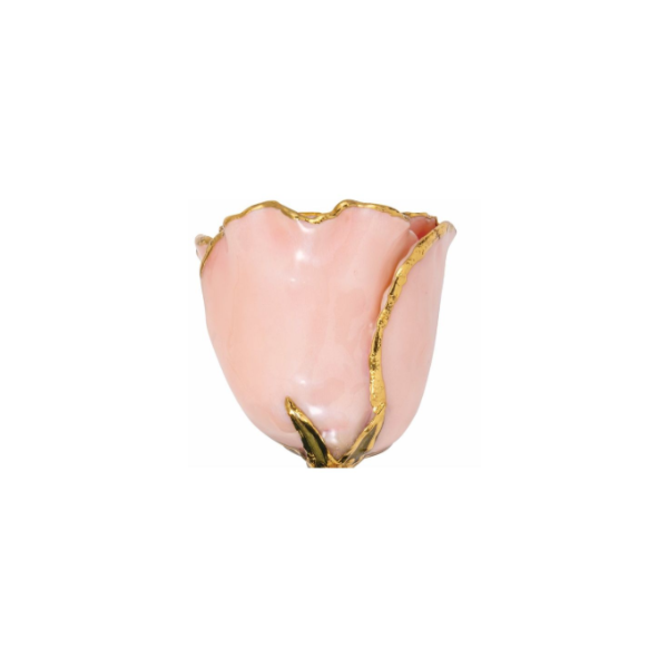 Lacquered Pink Pearl 24K Gold Trim Rose Image 2 Kiefer Jewelers Lutz, FL