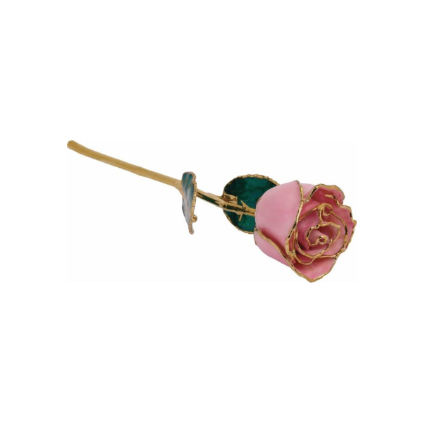 Lacquered Pink 24K Gold Trim Rose Kiefer Jewelers Lutz, FL