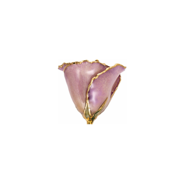 Lacquered Lavender 24K Gold Trim Rose Image 2 Kiefer Jewelers Lutz, FL