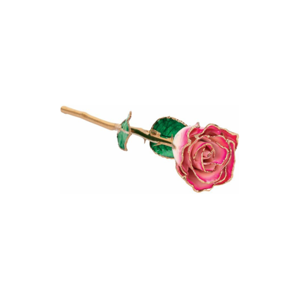 Lacquered Cream & Magental 24K Gold Trim Rose Kiefer Jewelers Lutz, FL