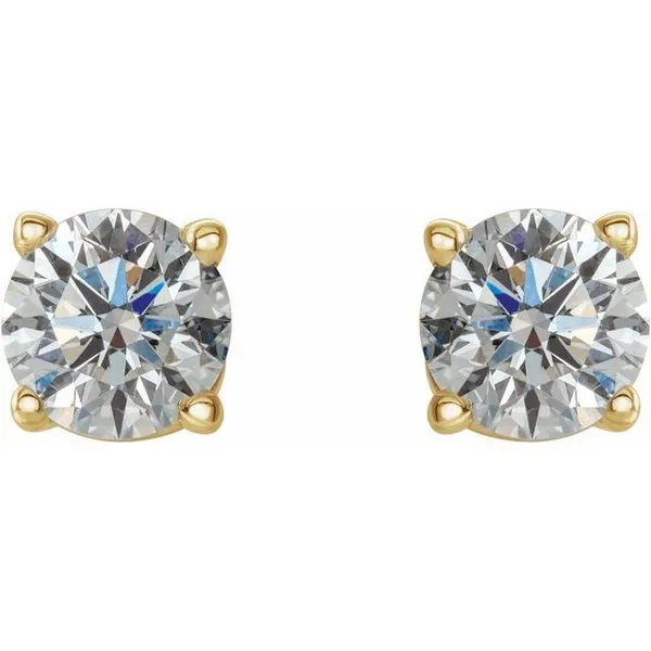 14k yellow gold natural diamond stud earrings Image 2 Lake Saint Louis Jewelers Lake Saint Louis, MO