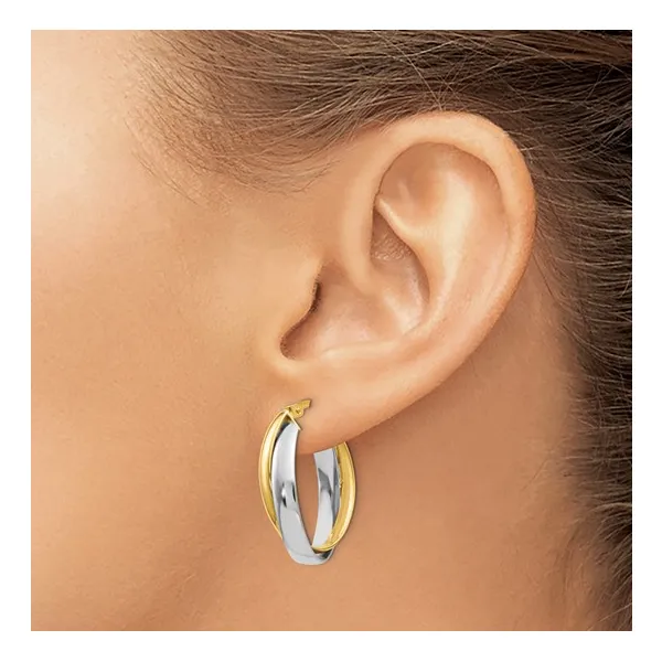 14K Two-tone Polished Double Oval Hoop Earrings Image 3 Lake Saint Louis Jewelers Lake Saint Louis, MO