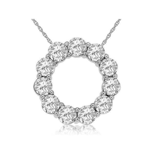 14k white gold natural diamond circle necklace Lake Saint Louis Jewelers Lake Saint Louis, MO