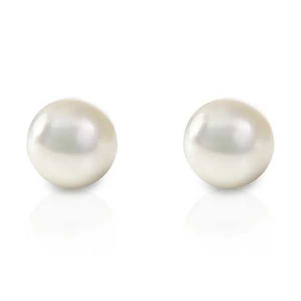 Akoya White Pearl Studs in 14kt White Gold La Mine d'Or Moncton, NB