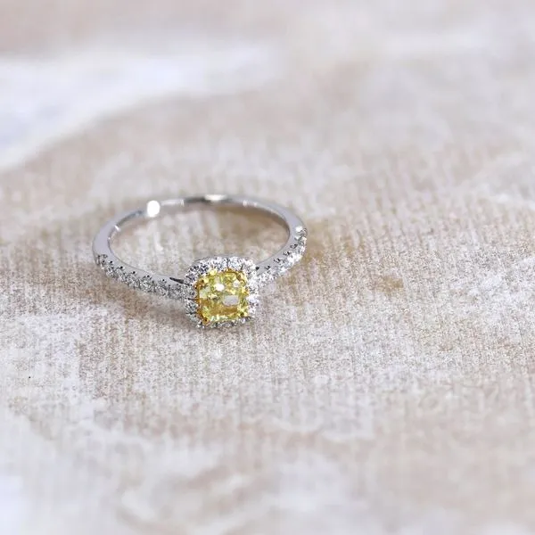 0.85tw Cushion Fancy Yellow Diamond Halo Pave Ring Image 3 La Mine d'Or Moncton, NB