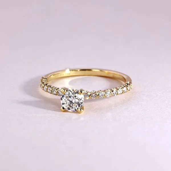 0.75tw Charlotte Round Diamond Pave Engagement Ring Image 3 La Mine d'Or Moncton, NB