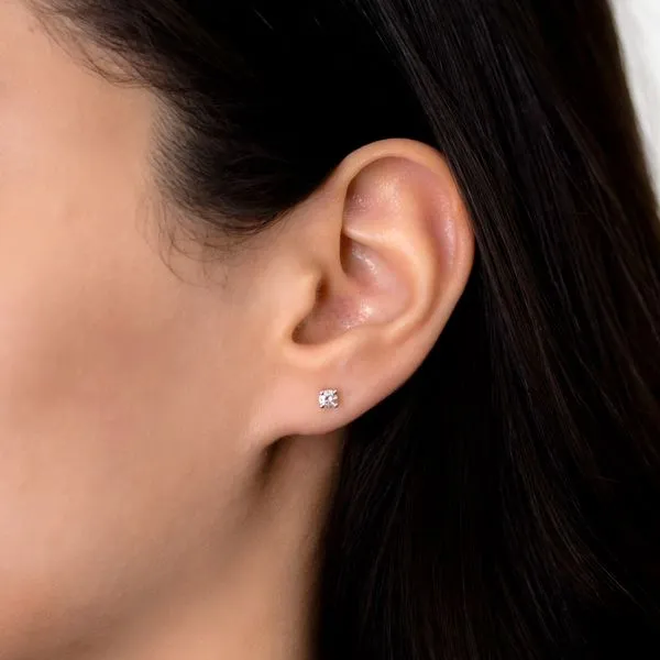 0.25tw Essential Collection Round Diamond Stud Earrings Image 4 La Mine d'Or Moncton, NB