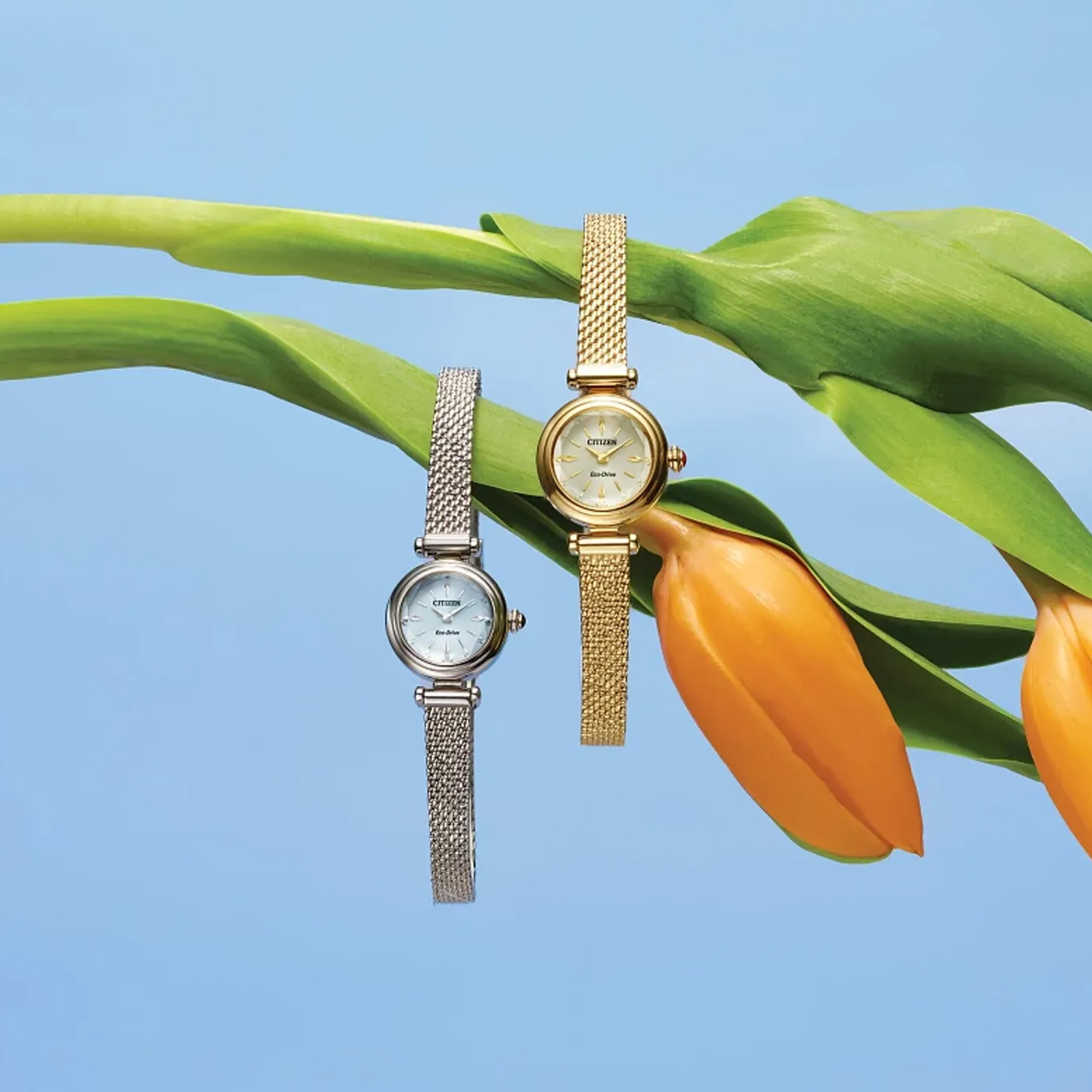 Citizen Fio Eco-Drive Stainless Steel Classic Watch Blue Dial Image 5 La Mine d'Or Moncton, NB