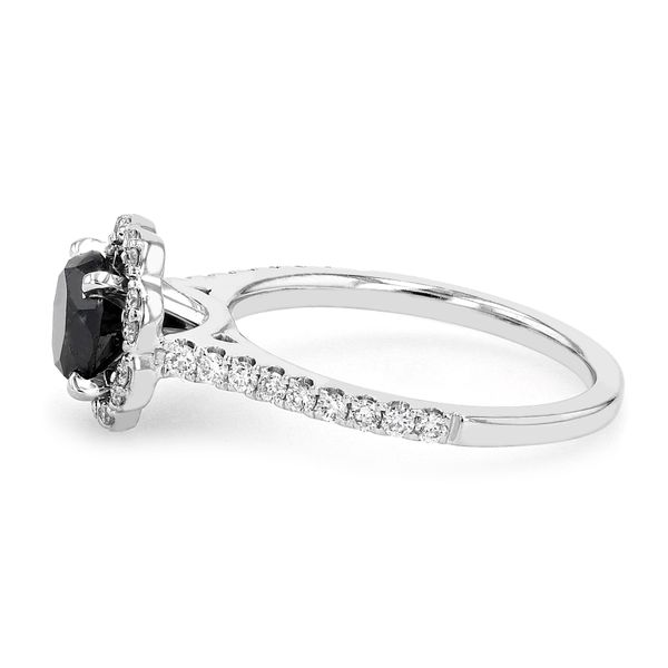 1.45tw Halo Black Diamond Fashion Ring Image 2 La Mine d'Or Moncton, NB
