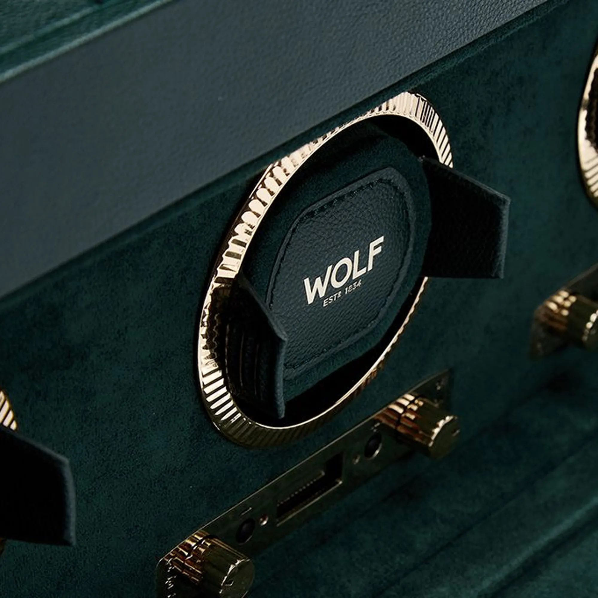WOLF British Racing Triple Watch Winder with Storage - Green Image 5 La Mine d'Or Moncton, NB