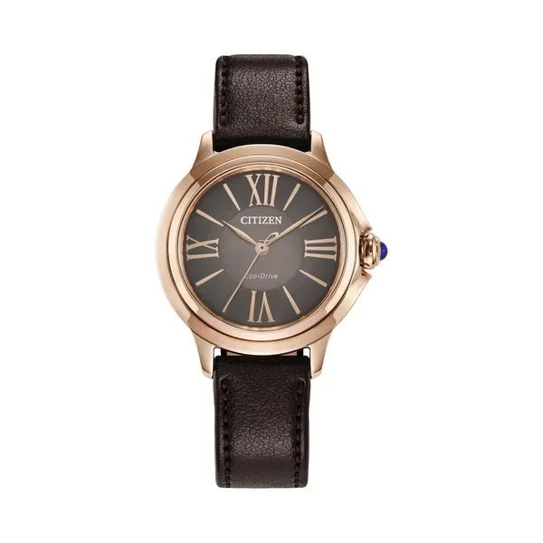 Citizen Ceci Eco-Drive Watch Brown Dial 32mm La Mine d'Or Moncton, NB