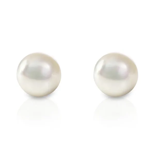 Akoya White Pearl Studs in 14kt White Gold La Mine d'Or Moncton, NB