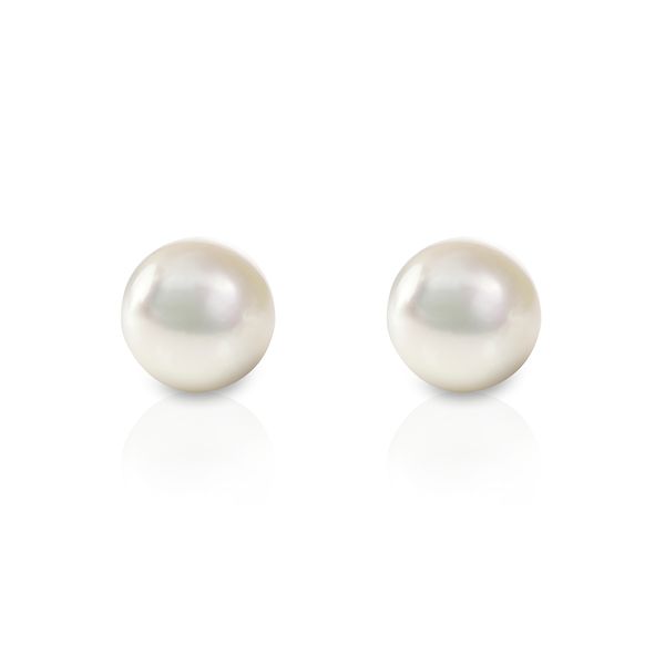 Akoya White Pearl Stud Earrings in 14kt White Gold La Mine d'Or Moncton, NB