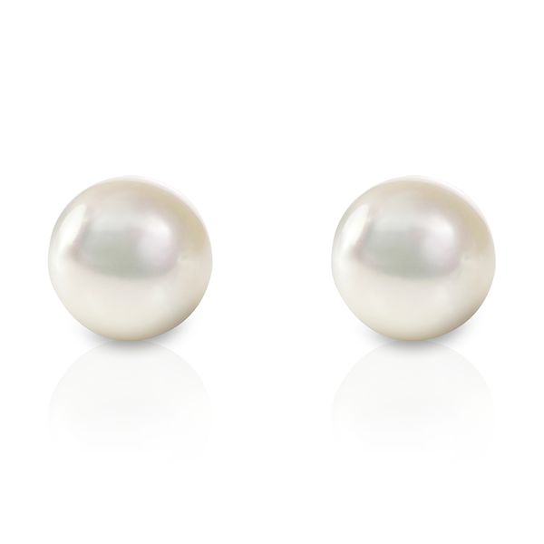 Akoya White Pearl Studs in 14kt White Gold La Mine d'Or Moncton, NB
