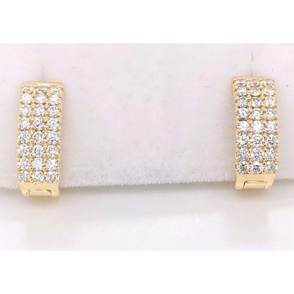 Diamond Earrings Layne's Jewelry Gonzales, LA
