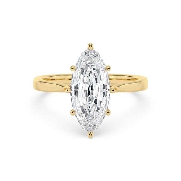 Engagement Ring Lee Ann's Fine Jewelry Russellville, AR