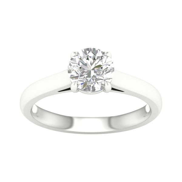 White 14 Karat Engagement Ring with Round Lab Grown Diamond Lee Ann's Fine Jewelry Russellville, AR