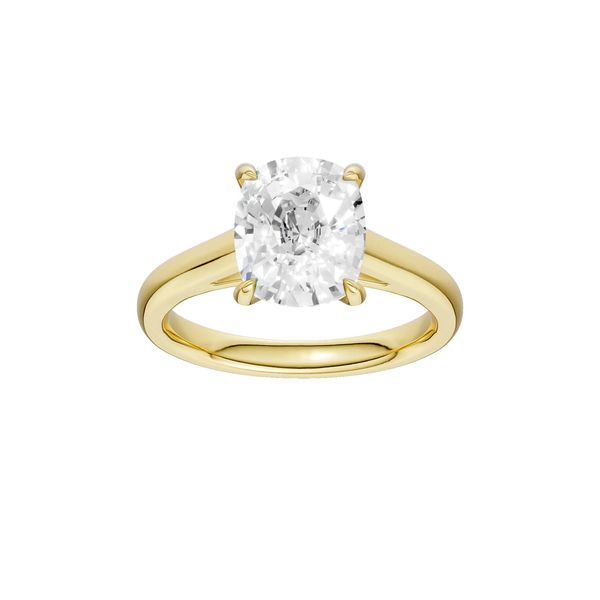 Lab Grown Engagement Ring Lee Ann's Fine Jewelry Russellville, AR