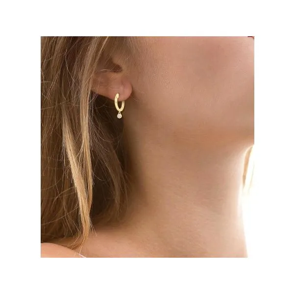 10 Karat Yellow Gold Huggie Earrings Image 2 Lee Ann's Fine Jewelry Russellville, AR