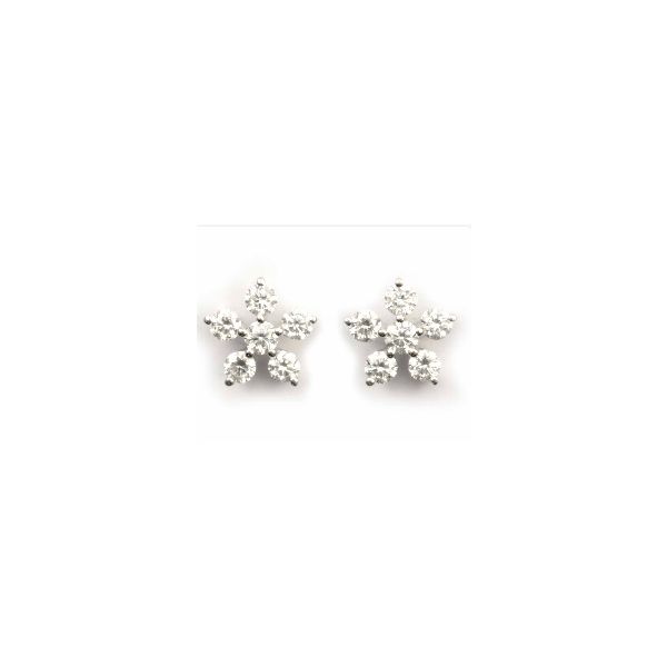 Earrings Lee Ann's Fine Jewelry Russellville, AR
