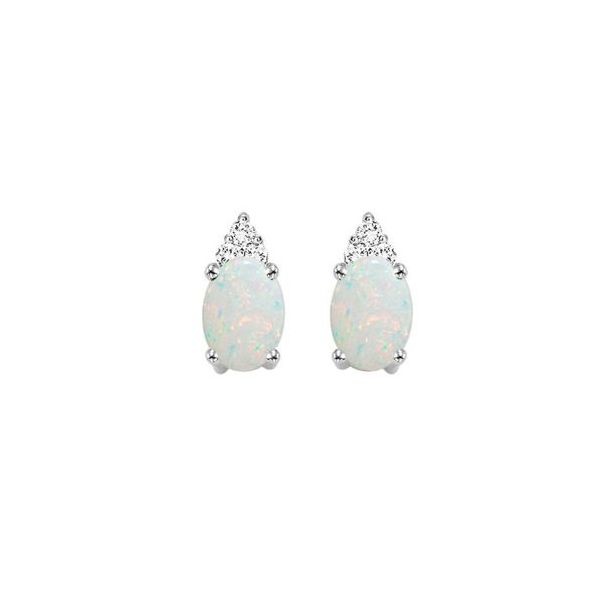 Lady's White 10 Karat Opal and Diamond Earrings Lee Ann's Fine Jewelry Russellville, AR