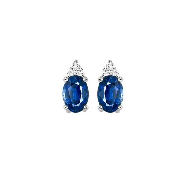 10K White Gold Sapphire and Diamond Earrings Lee Ann's Fine Jewelry Russellville, AR