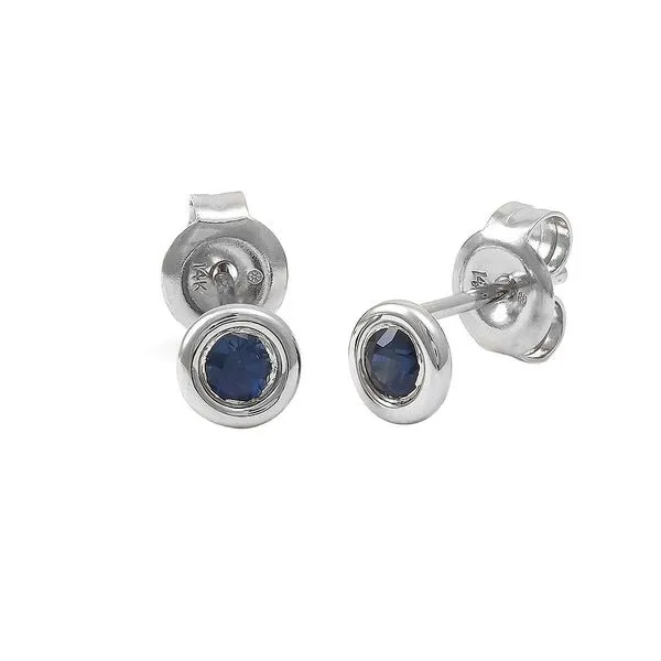 14K White Sapphire Earrings Lee Ann's Fine Jewelry Russellville, AR