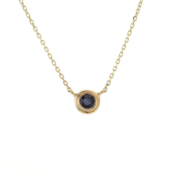Necklace Lee Ann's Fine Jewelry Russellville, AR