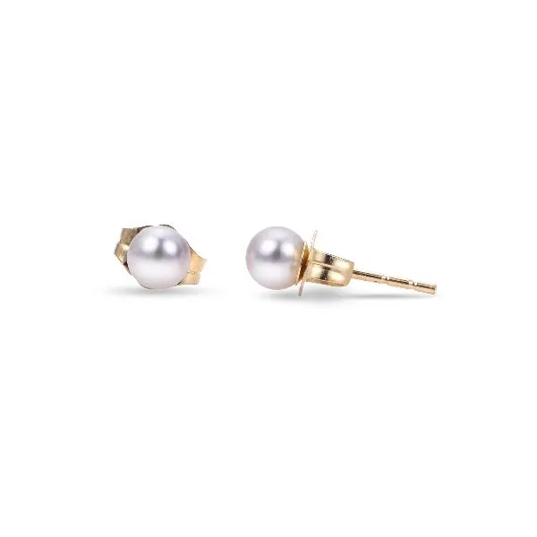 Lady's Yellow 14 Karat 4MM "AA" Akoya Pearl Earrings Lee Ann's Fine Jewelry Russellville, AR