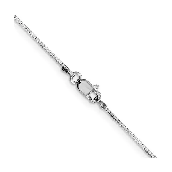 14K 22" White Gold Box Chain Lee Ann's Fine Jewelry Russellville, AR