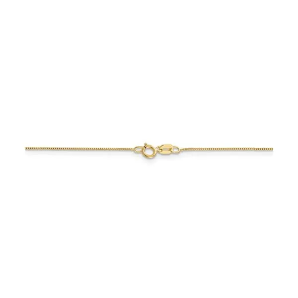 14K 18 inch Box Chain Lee Ann's Fine Jewelry Russellville, AR