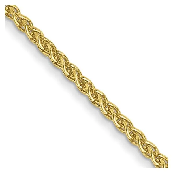 Yellow 10 Karat Spiga Chain Lee Ann's Fine Jewelry Russellville, AR