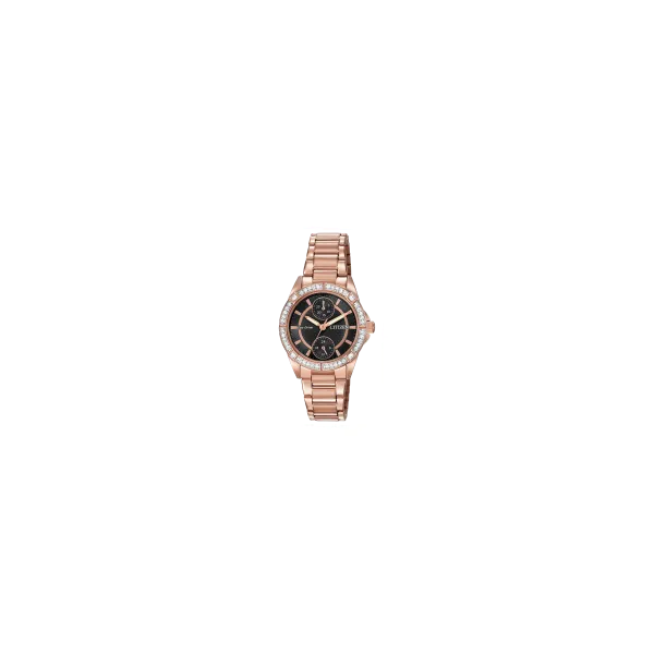 Citizen Eco Drive Ladies Citizen Watch Lee Ann's Fine Jewelry Russellville, AR