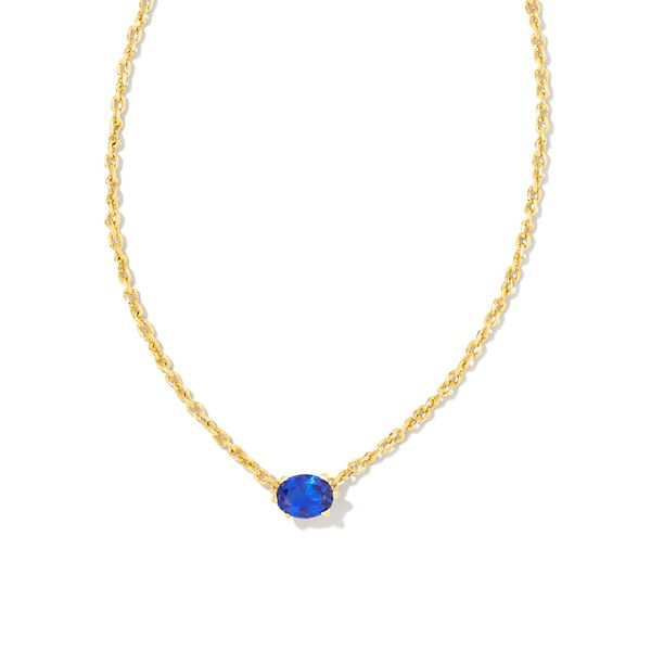 Kendra Scott Blue Crystal Pendant Necklace Lee Ann's Fine Jewelry Russellville, AR