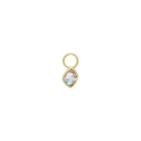 ANIA HAIE Gold Labradorite Earring Charm Lee Ann's Fine Jewelry Russellville, AR