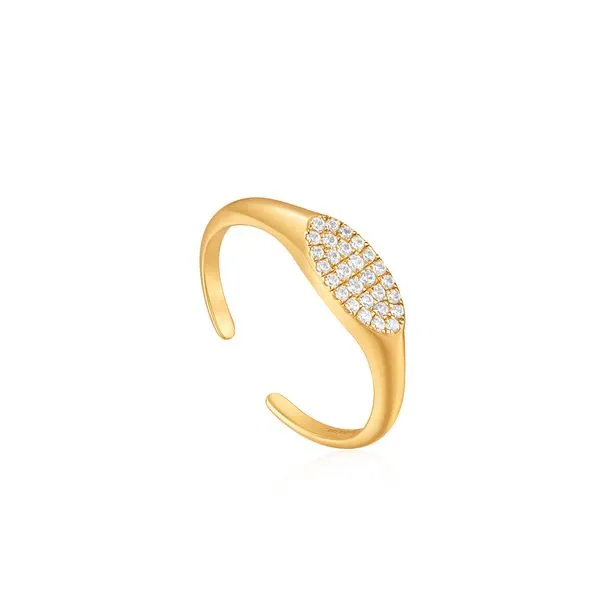 ANIA HAIE Glam Adjustable Signet Ring Lee Ann's Fine Jewelry Russellville, AR