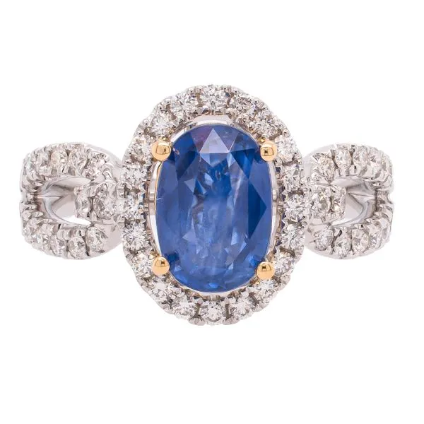 14K White and Yellow Gold Sapphire Looped Diamond Ring LeeBrant Jewelry & Watch Co Sandy Springs, GA