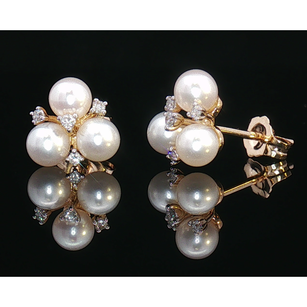 Earrings Legacy Diamond & Gems Sheridan, WY