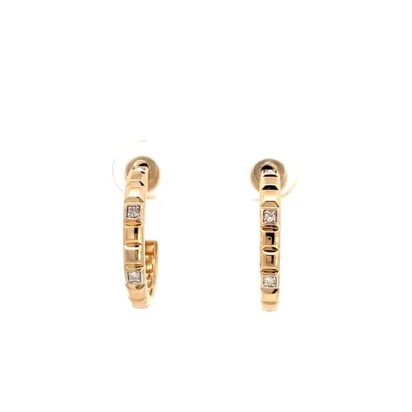 Earrings Leitzel's Jewelry Myerstown, PA