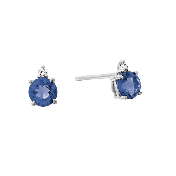 14kt White Gold Sapphire Stud Earrings Leitzel's Jewelry Myerstown, PA