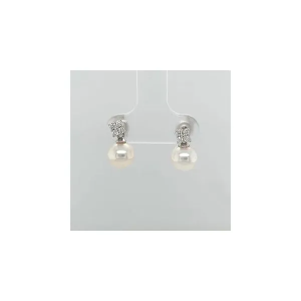 Earrings Leitzel's Jewelry Myerstown, PA