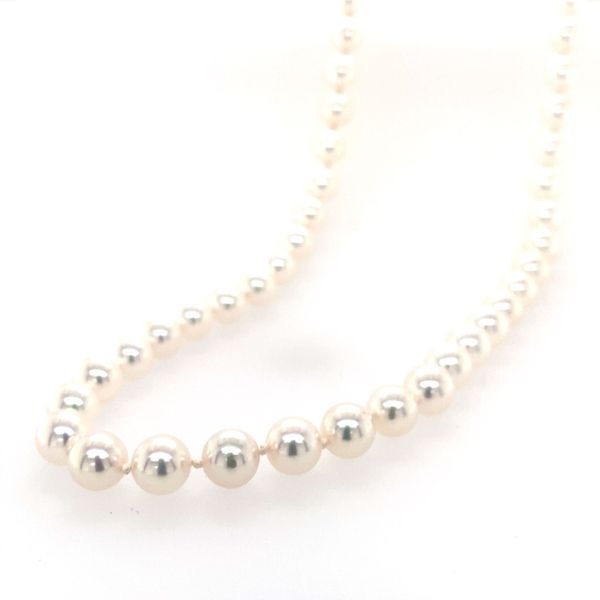 Strand 00132500082 14KY Pearl Necklaces Leitzel's Jewelry