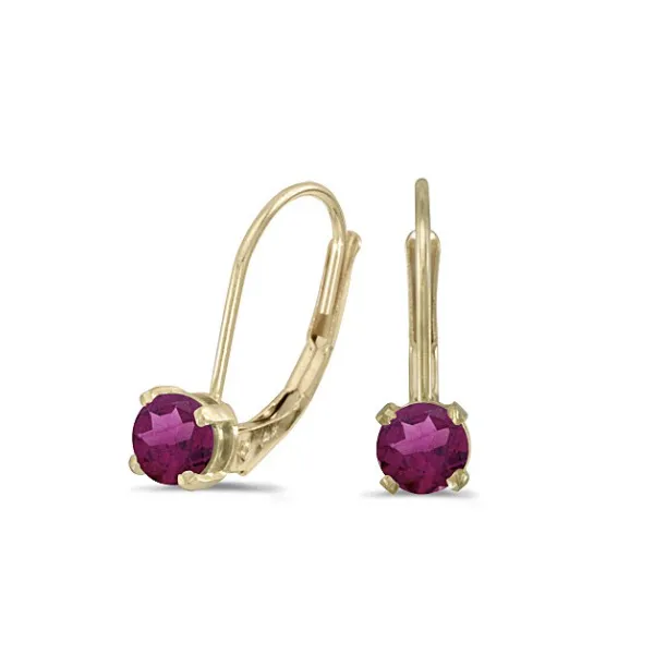 14Kt Yellow Gold Round Rhodalite Garnet Lever Back Earrings Lennon's W.B. Wilcox Jewelers New Hartford, NY