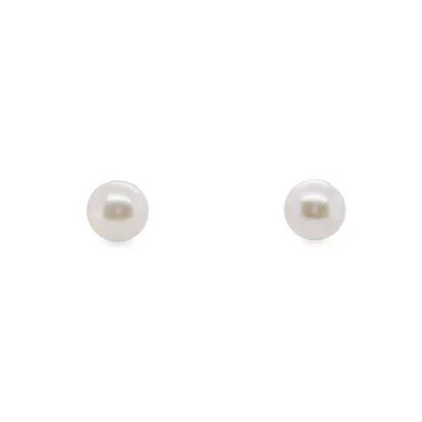 14KT WG 0.50 GM 8-8.5MM AKOYA CULTURED STUD PEARL EARRINGS Lennon's W.B. Wilcox Jewelers New Hartford, NY