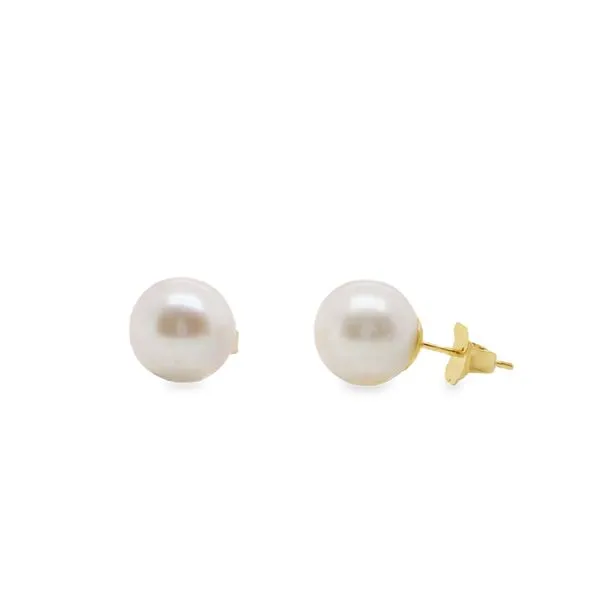 14K YG FRESHWATER PEARL EARRINGS 9-9.5 MM Lennon's W.B. Wilcox Jewelers New Hartford, NY
