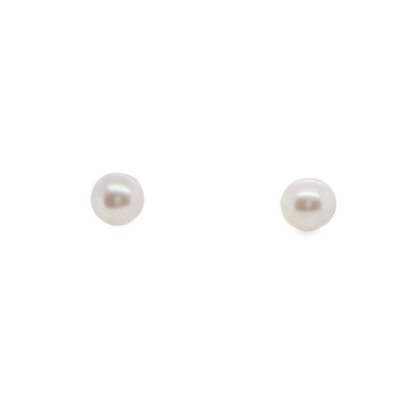 14KT YG 7.50-8MM FRESH WATER PEARL STUDS Lennon's W.B. Wilcox Jewelers New Hartford, NY