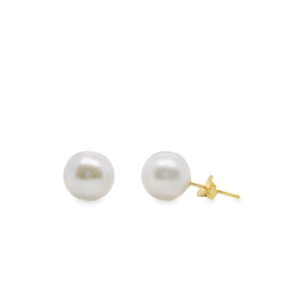 14K YG FRESHWATER PEARL EARRINGS 8-8.5MM Lennon's W.B. Wilcox Jewelers New Hartford, NY
