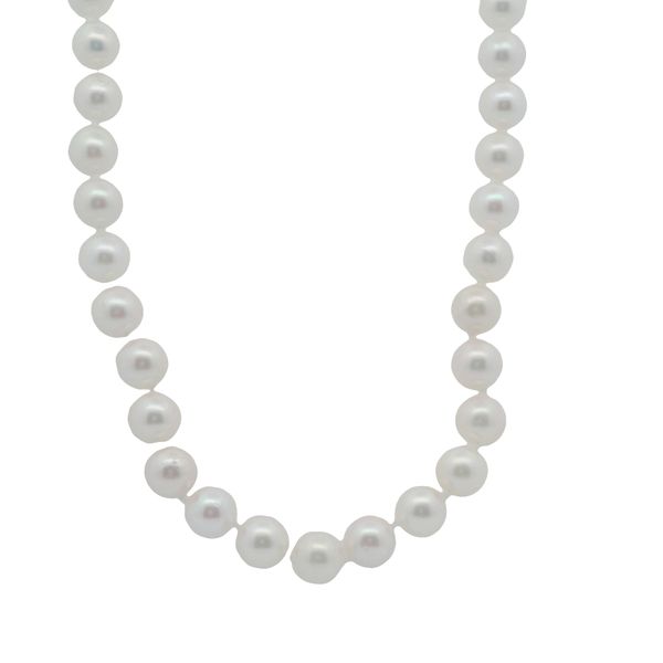 16" 6-7 MM SALTWATER AKOYA PEARL KNOTTED STRAND W/14K YG FISH HOOK CLASP Lennon's W.B. Wilcox Jewelers New Hartford, NY