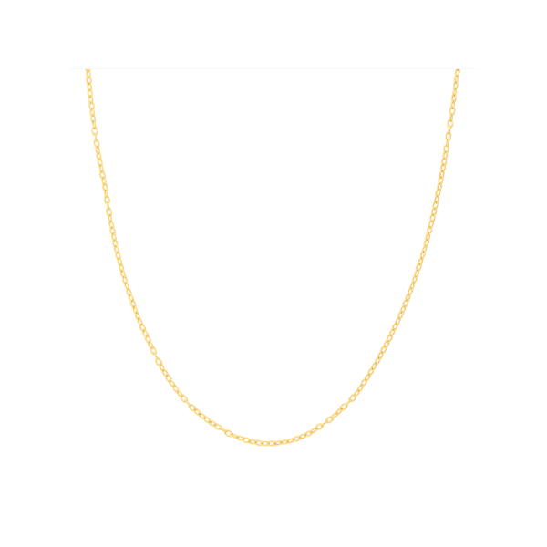 14K YG 20' ROLO CHAIN WITH LOBSTER CLAW Lennon's W.B. Wilcox Jewelers New Hartford, NY