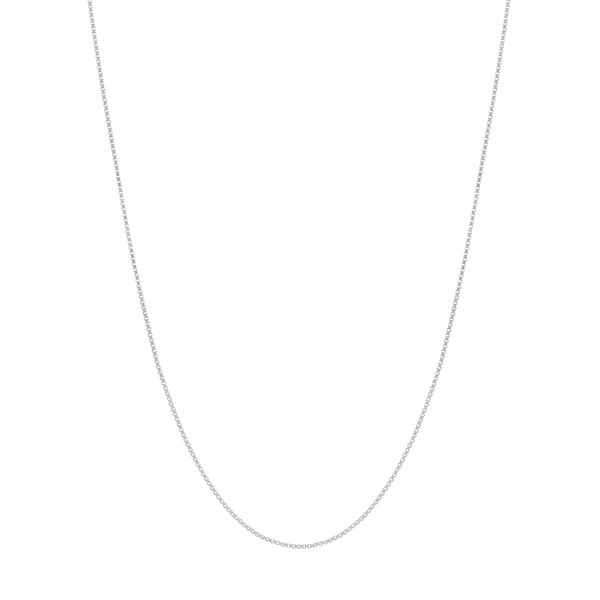 14KT WG 20" .55 MM BOX CHAIN W/ SPRING RING Lennon's W.B. Wilcox Jewelers New Hartford, NY